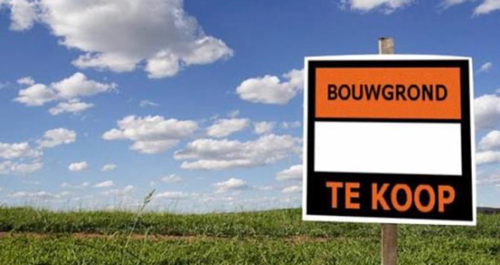 Gezocht bouwgrond, Immo
