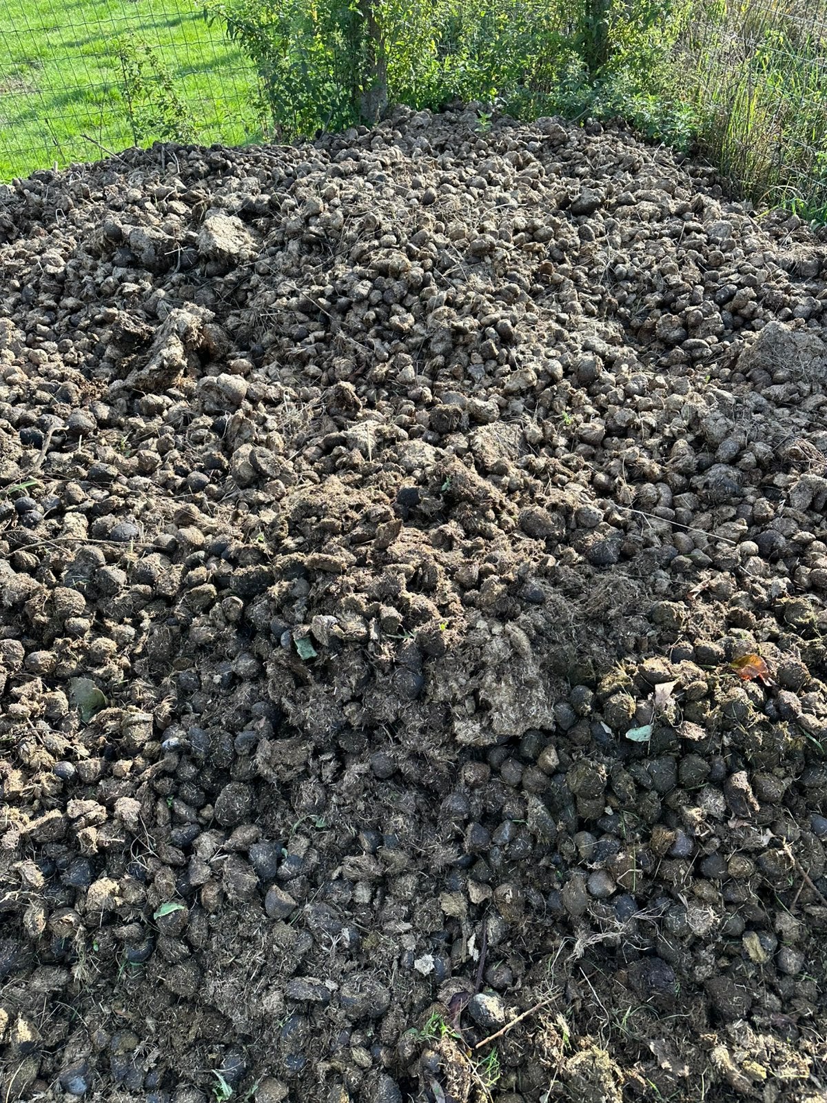Gratis zuiver paardenmest, Tuin en Terras, Ophalen