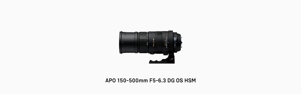 Sigma 150-500mm f/5-6.3 APO DG OS HSM voor Nikon, Ophalen, Gebruikt, Telelens, Zoom