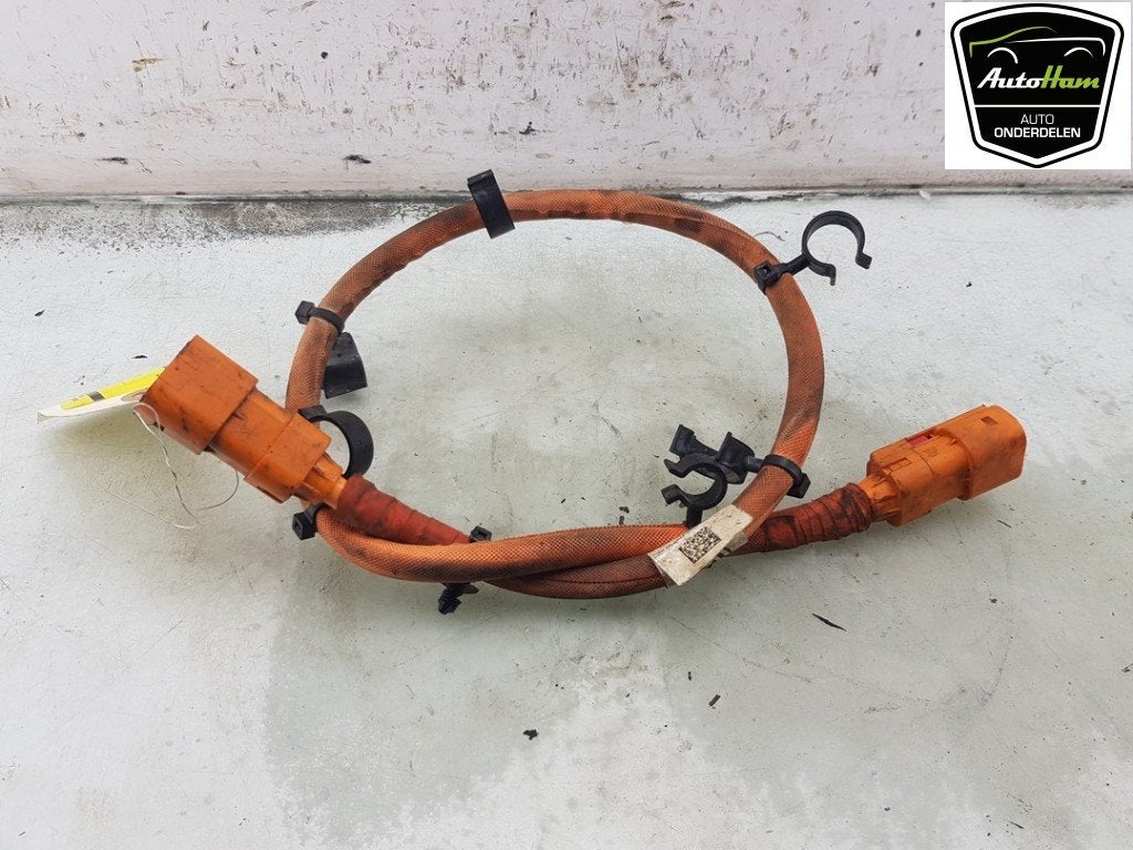 CÂBLE HT (HAUTE TENSION) Volkswagen Golf VII (AUA), Volkswagen, Utilisé, Lisa.Scalzo@aptiv.com, Aptiv PLC