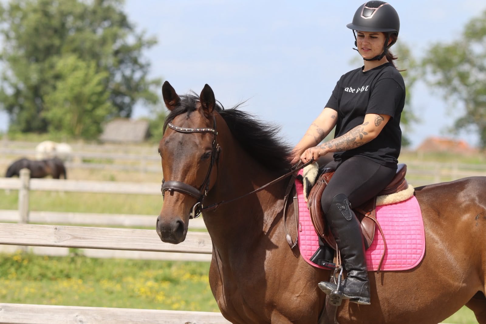 Knappe merrie met uitzonderlijk lief en rustig karakter., Dieren en Toebehoren, Merrie