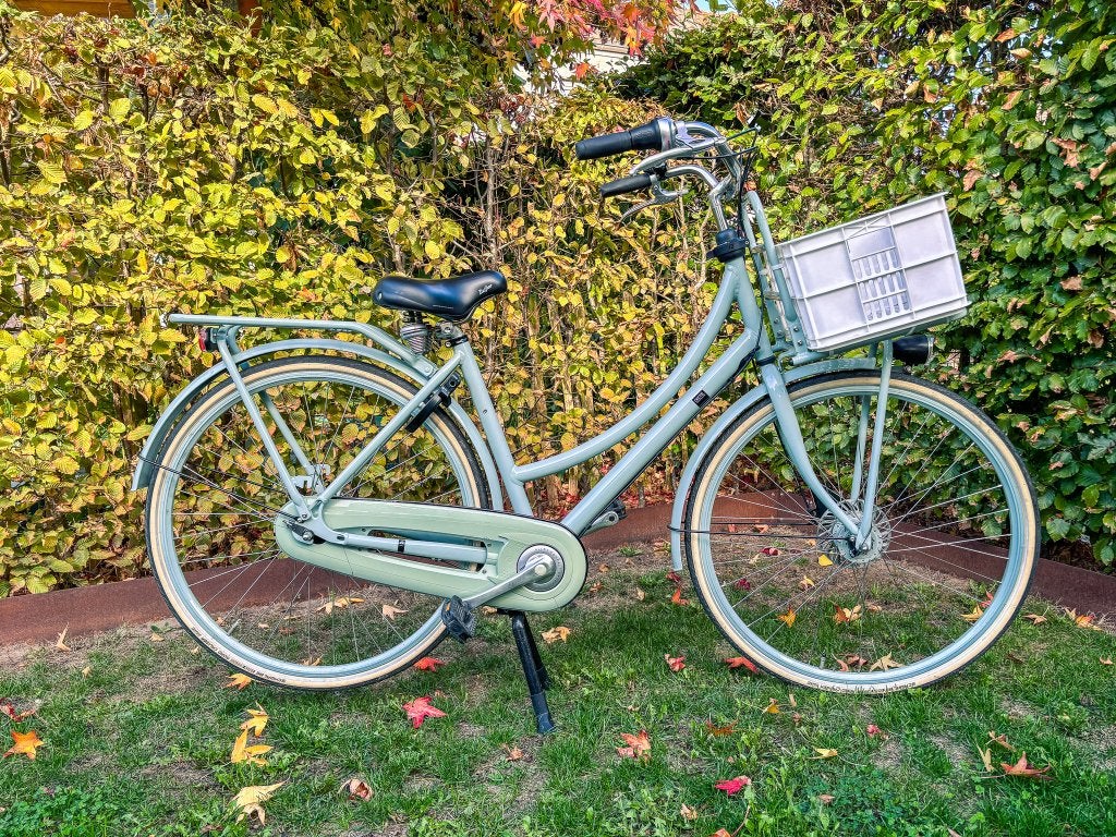 Batavus CNCTD damesfiets transportfiets, Fietsen en Brommers, Ophalen, Gebruikt, 47 tot 50 cm, Versnellingen