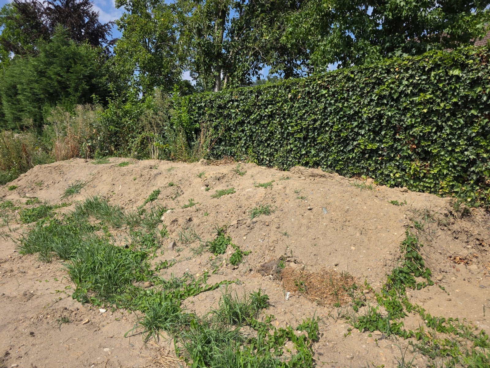 Opvulgrond,  aanvulgrond, Tuin en Terras, Zand, Ophalen