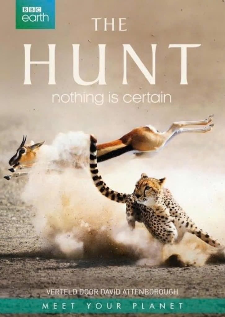 BBC Earth - The Hunt ( 3 dvd’s), CD & DVD, DVD | Documentaires & Films pédagogiques, Nature, Coffret, Enlèvement ou Envoi