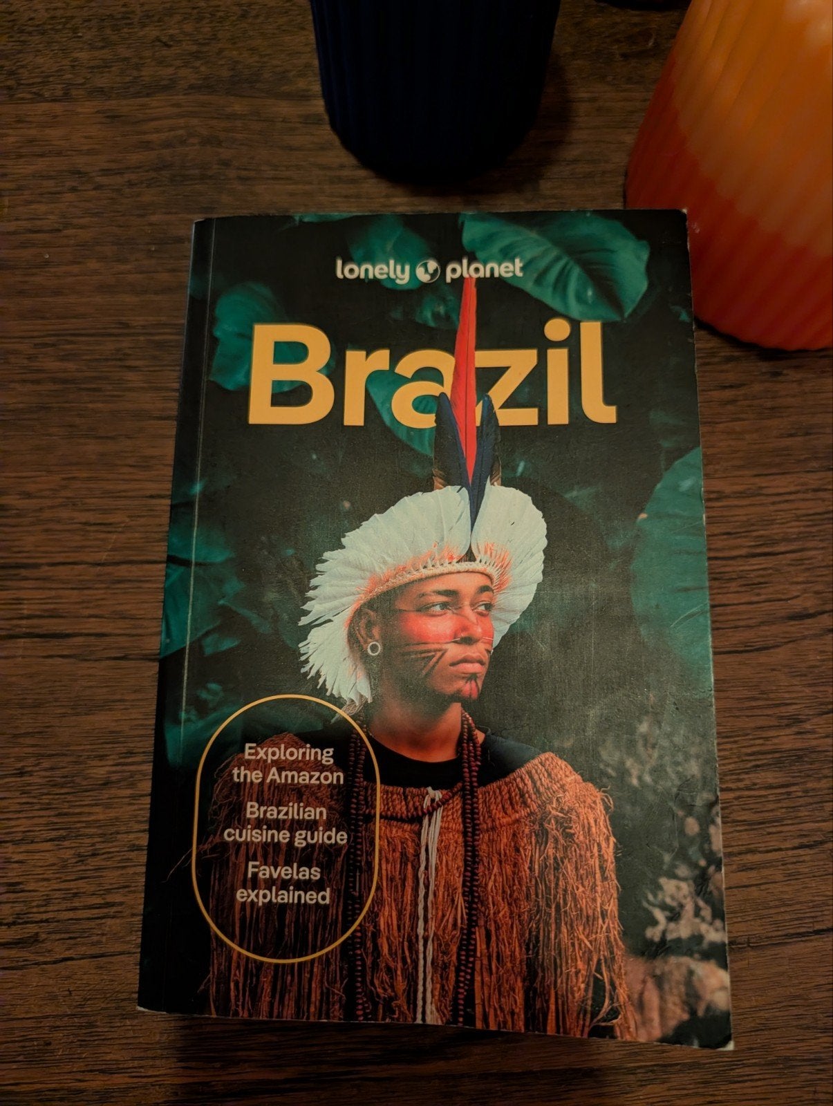 lonely planet reisgids Brazilië, Boeken, Kunst en Cultuur, Ophalen of Verzenden, Zo goed als nieuw, Lonely Planet