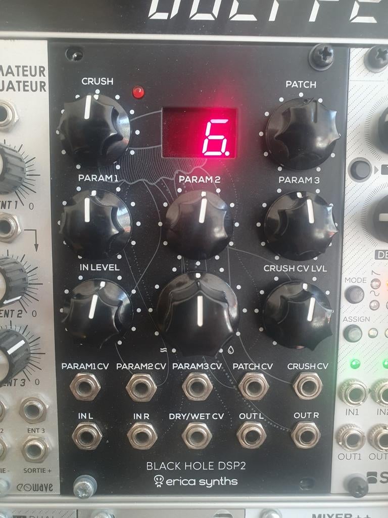 ERICA SYNTHS / BLACK HOLE DSP2, Musique & Instruments, Enlèvement ou Envoi