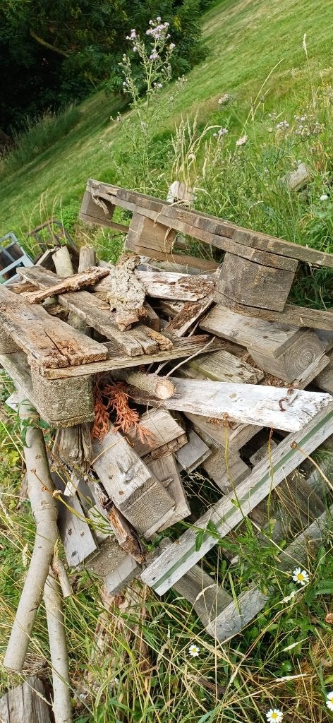 gratis brandhout, Enlèvement, Utilisé
