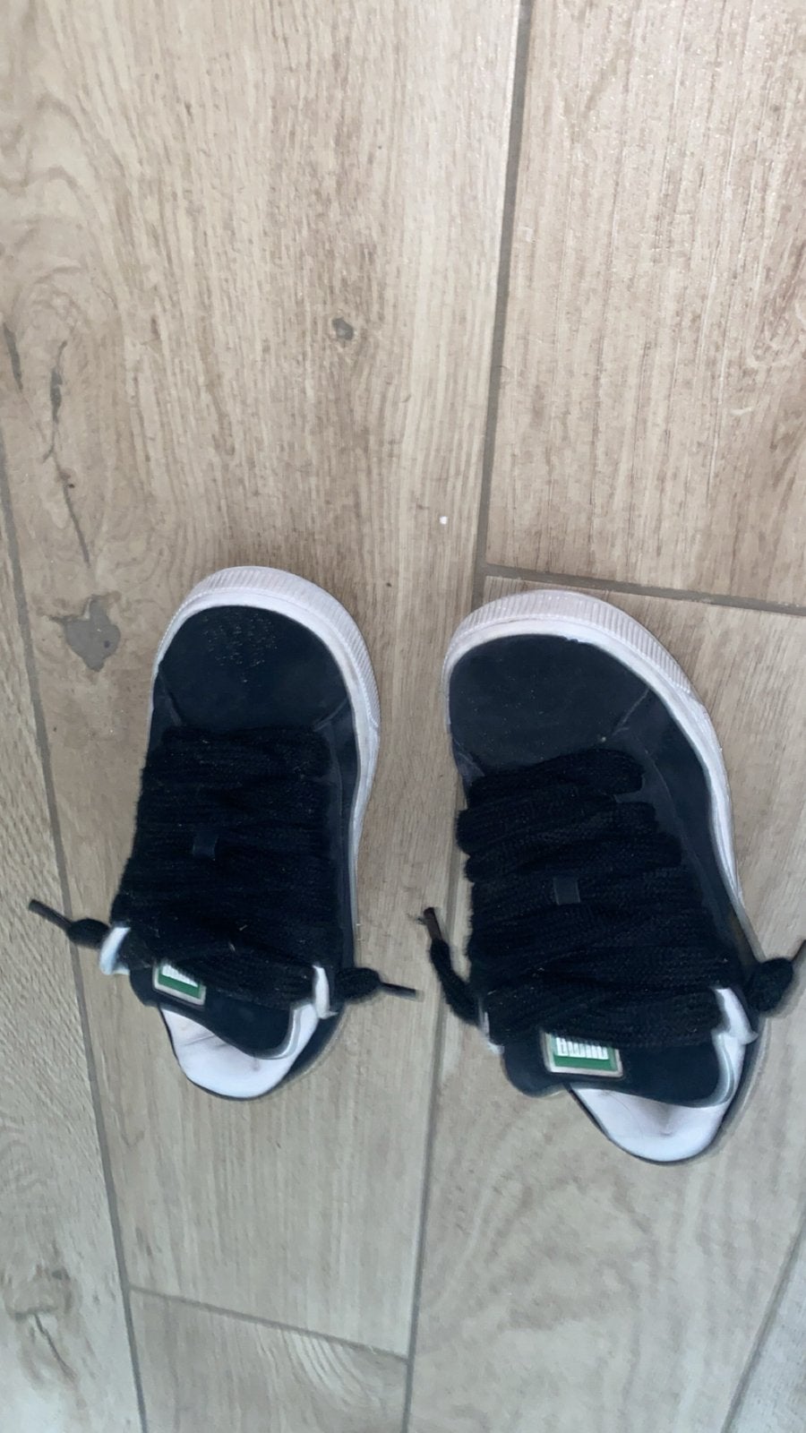 daim Puma XL, Motos, Enlèvement, XL
