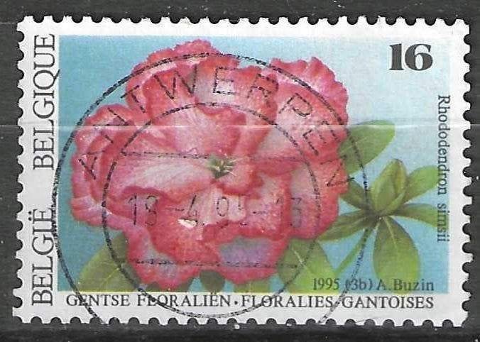 Belgie 1995 - Yvert/OBP 2590 - Gentse Floralien - 16 F (ST), Verzenden, Gestempeld, Gestempeld