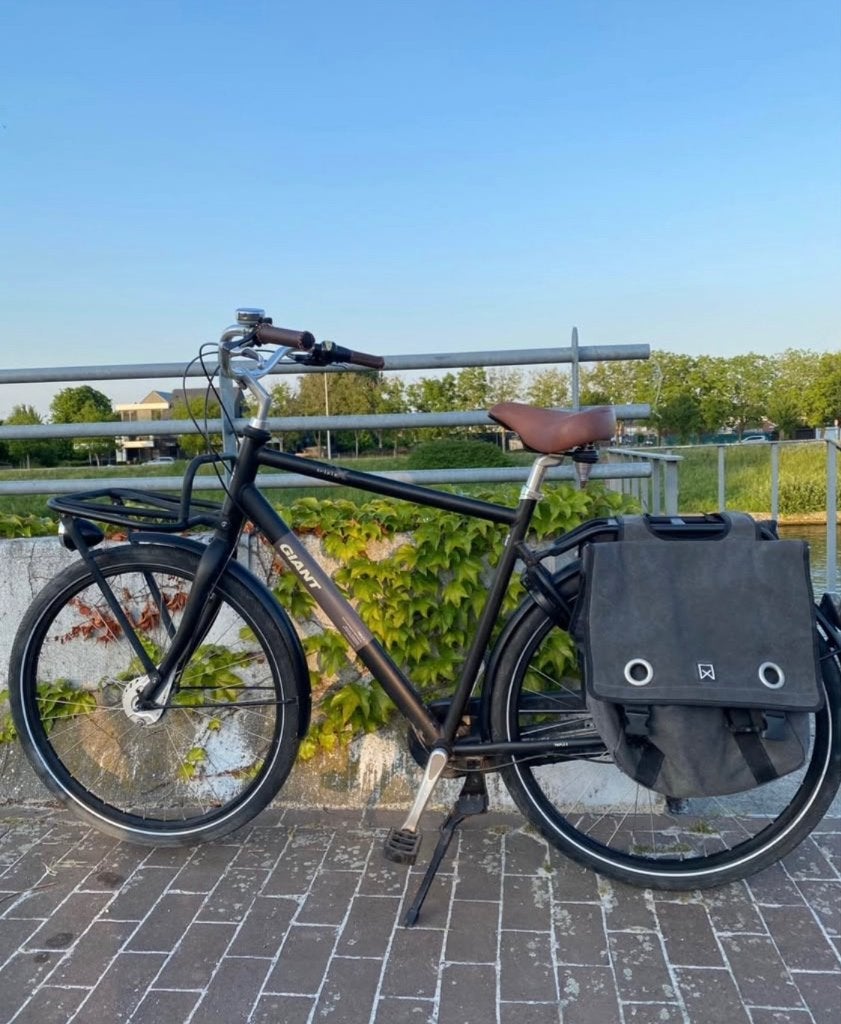 Herenfiets Giant triple x, Fietsen en Brommers, Ophalen, Velgrem, Versnellingen, Giant