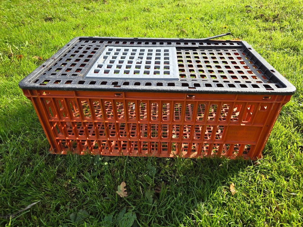 Transportboxen kippen, Dieren en Toebehoren, Ophalen, Zo goed als nieuw