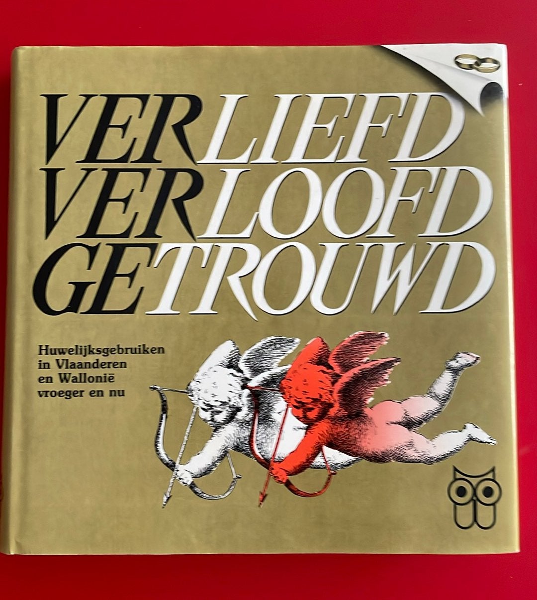 Verliefd Verloofd Getrouwd. Huwelijksgebruiken vroeger en nu, Livres, Conseil, Aide & Formation, Enlèvement ou Envoi, Utilisé