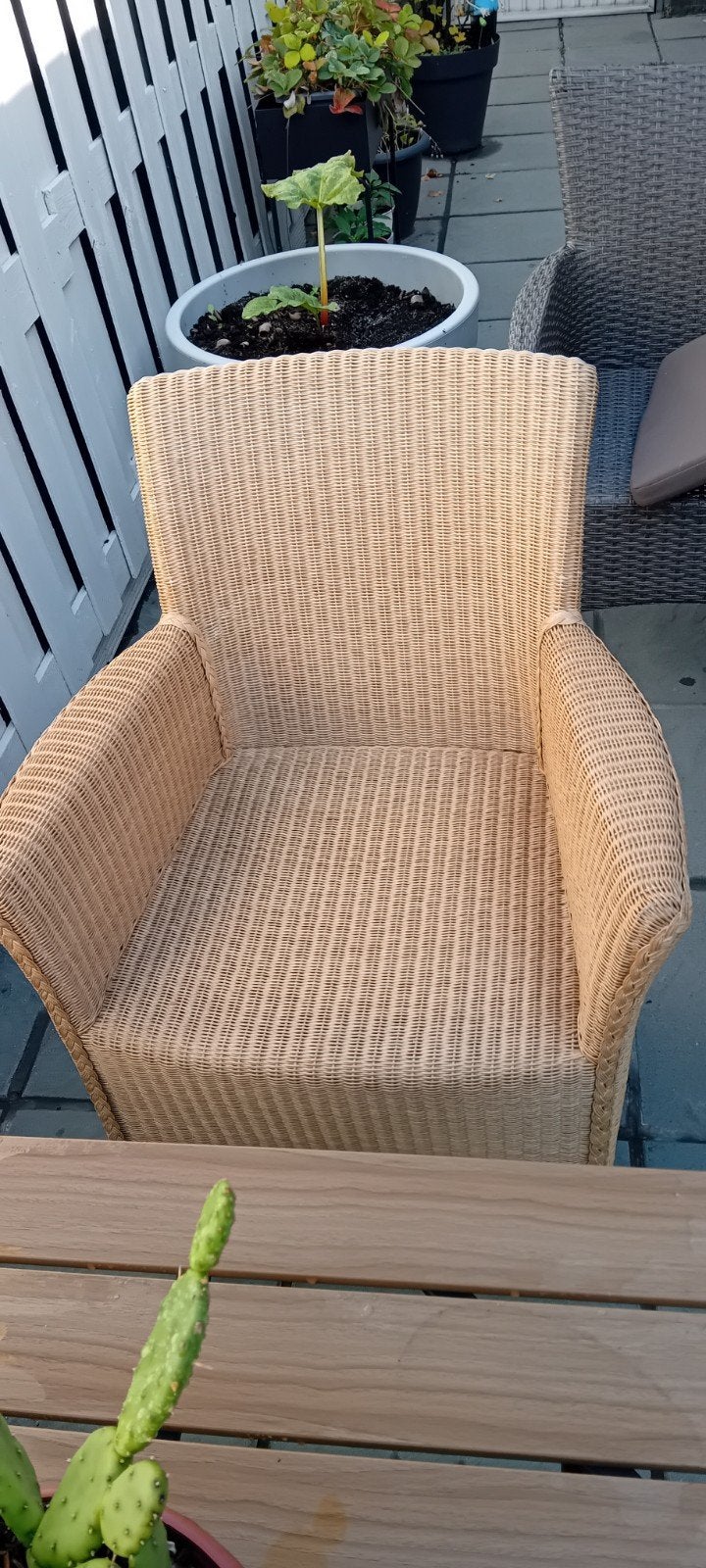 rieten  stoelen  6 stuks mooie sta9, Enlèvement, Brun, Osier ou Rotin, Cinq, Six Chaises ou plus