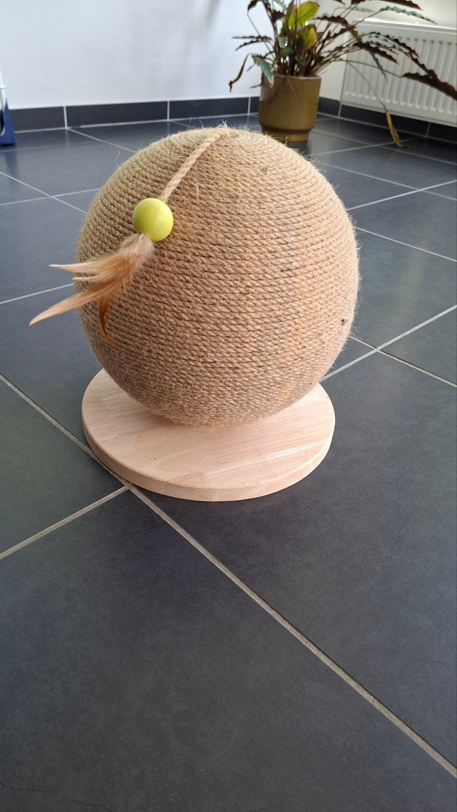 Krabbol voor poezen, Ophalen, Zo goed als nieuw