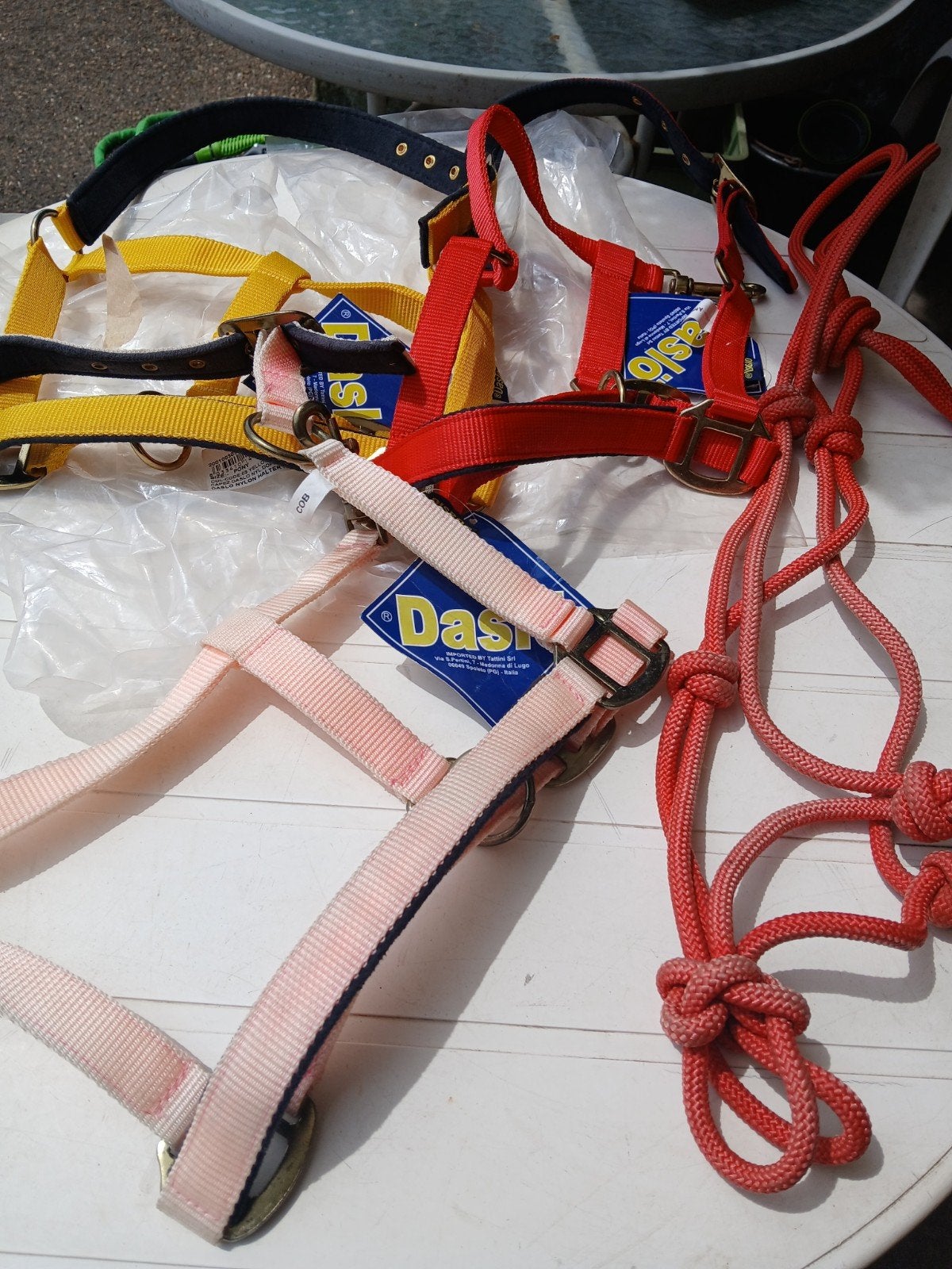 Licol en nylon et corde, Enlèvement, Neuf