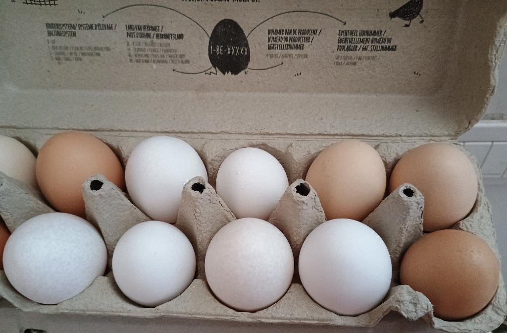 vrije uitloop eieren/ eitjes te koop, Diversen, Levensmiddelen, Ophalen