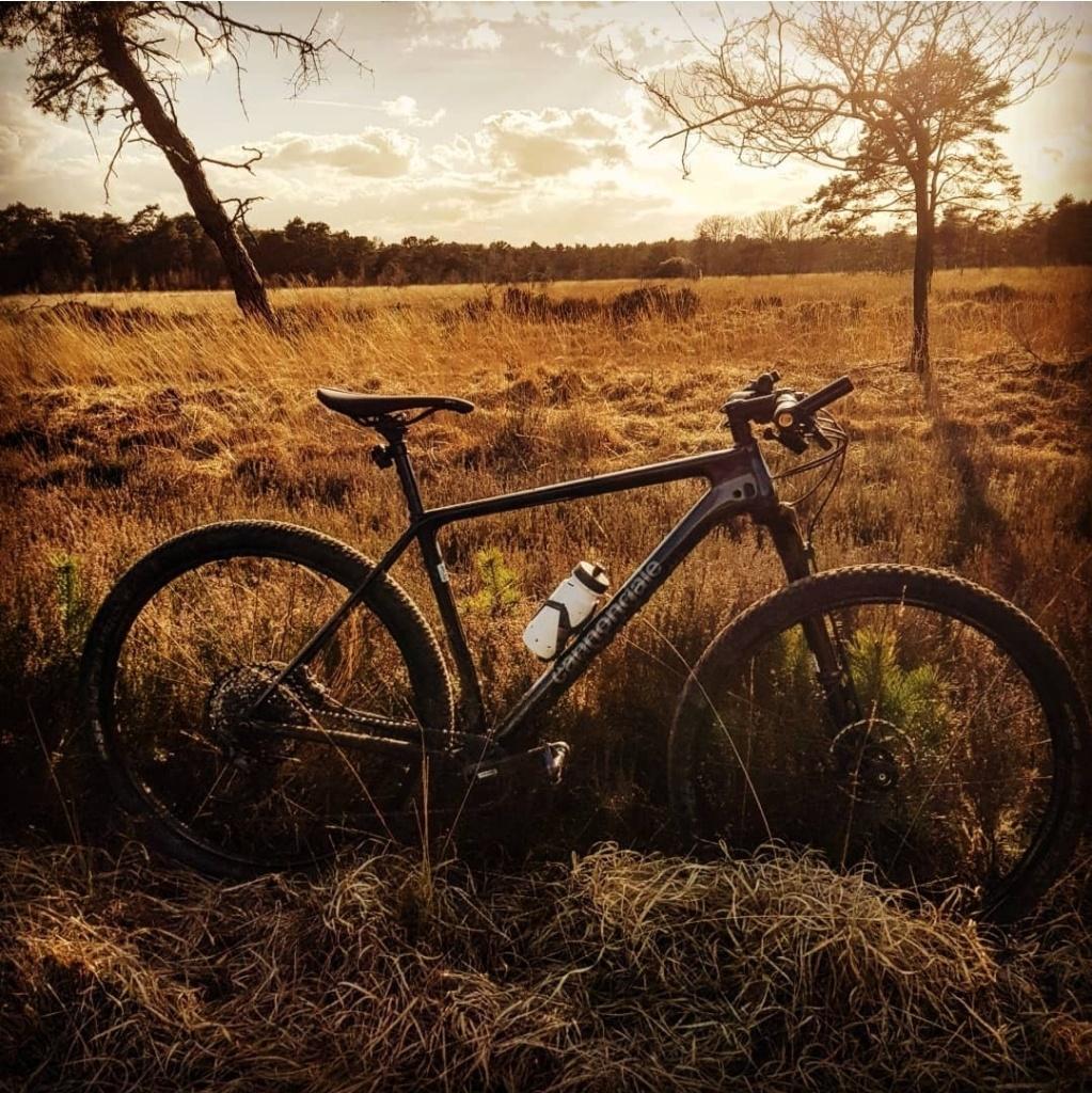 Mtb, Autres marques, Enlèvement, Utilisé, Hommes