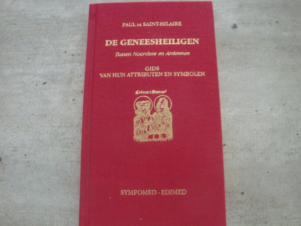 DE GENEESHEILIGEN TUSSEN NOORDZEE EN ARDENNEN, Boeken, Ophalen of Verzenden, Gelezen