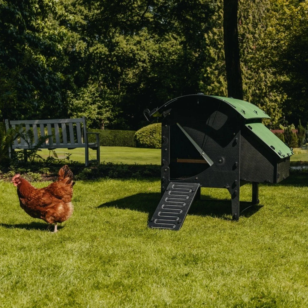 Nestera kippenhok: Lodge model, small. OP VOORRAAD, Dieren en Toebehoren, Pluimvee | Toebehoren, Ophalen of Verzenden, Nieuw, Kippenhok of Kippenren
