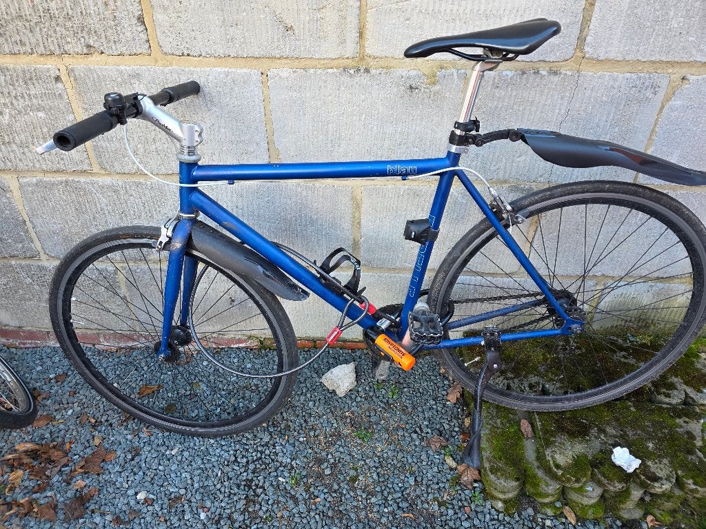 Forelle BLAU City - Singlespeed Bike, Enlèvement, Utilisé, Autres marques