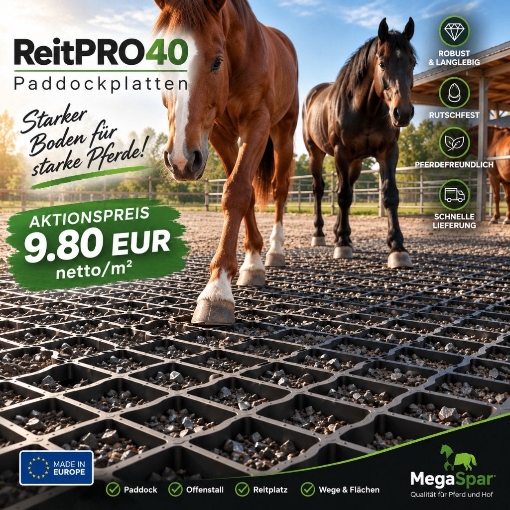 Paddockplaten & Grasroosters kopen ReitPRO Bodemstabilisatie, Élevage