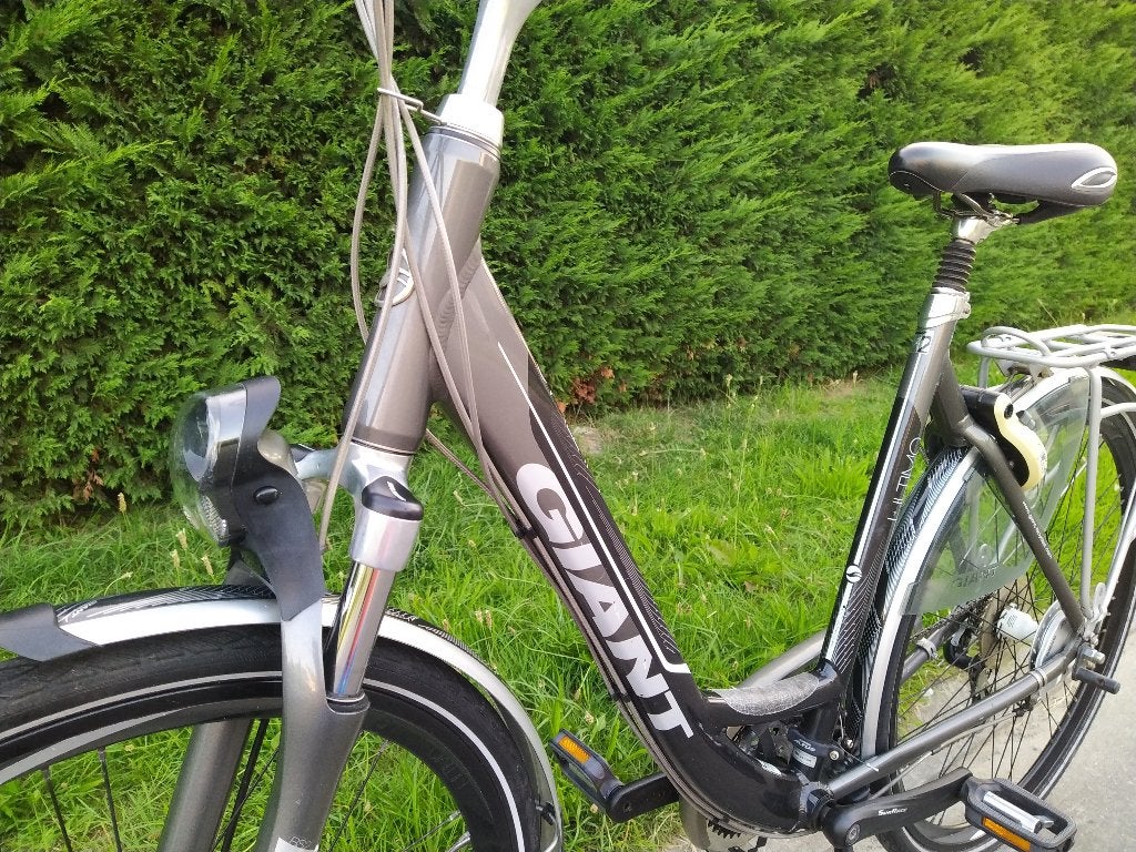 damesfiets Giant Maat L(Aanbevolen lengte: 175 cm - 189 cm), Fietsen en Brommers, Fietsen | Dames | Damesfietsen, Gebruikt, Giant
