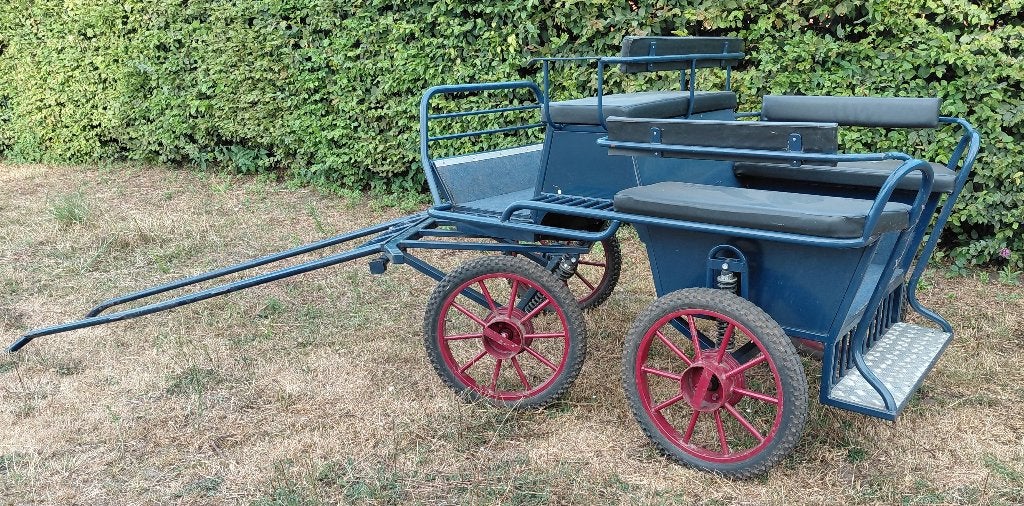 Enkelspan recreatiekoets voor 4-6 personen, Dieren en Toebehoren, Gebruikt, Marathonwagen, Paard of Pony