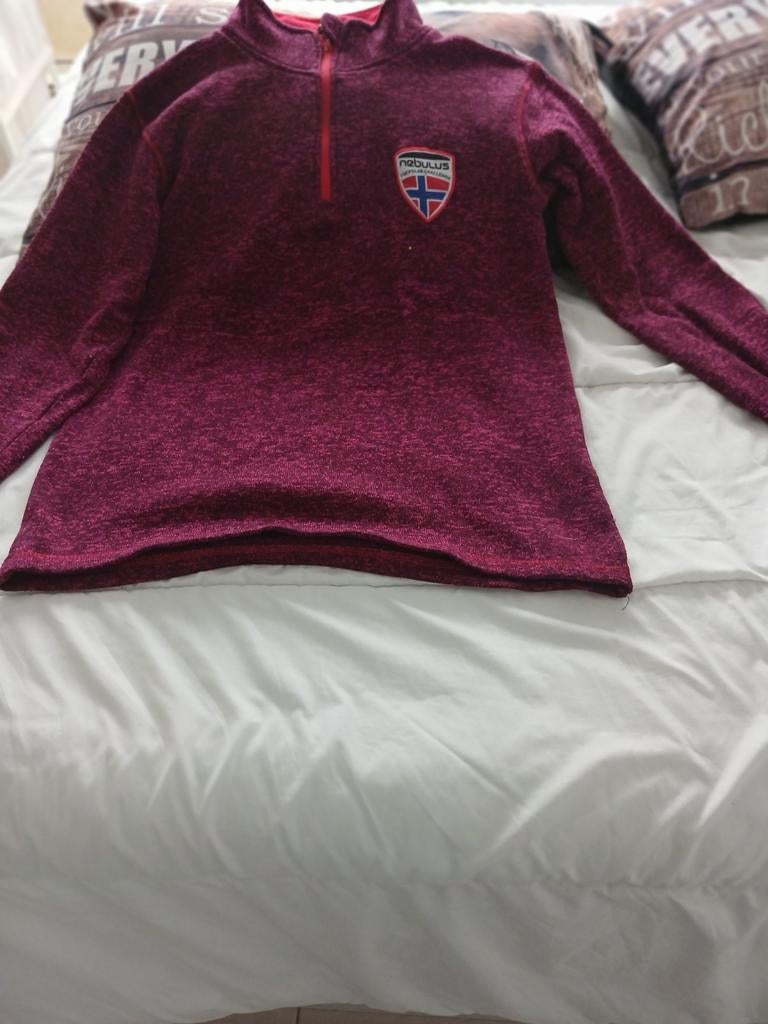 Pull  très  chaud  taille 42/44, Vêtements | Femmes, Pulls & Gilets, Enlèvement, Comme neuf, Taille 42/44 (L), Rouge