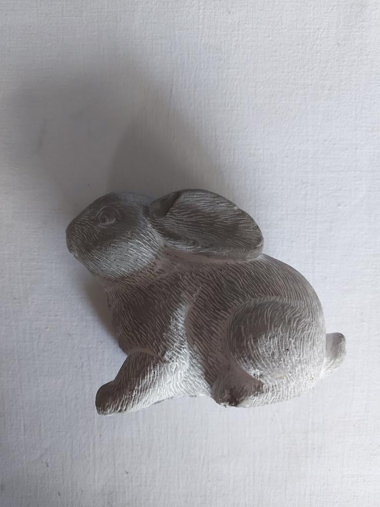 Lapin, Divers, Enlèvement ou Envoi