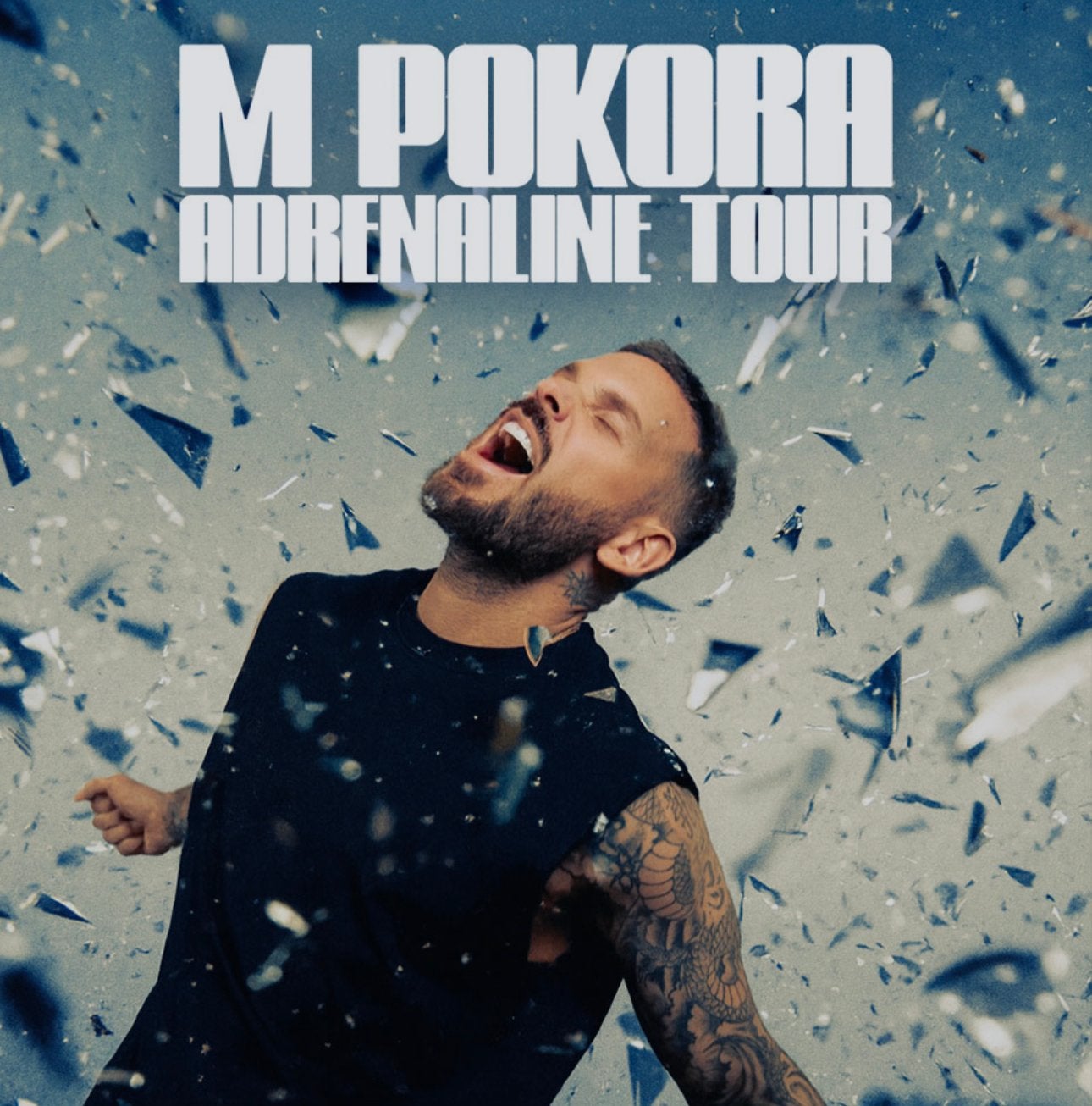 Billet Matt Pokora Forest National 27/09/26, Tickets & Billets, Une personne, Septembre, Pop