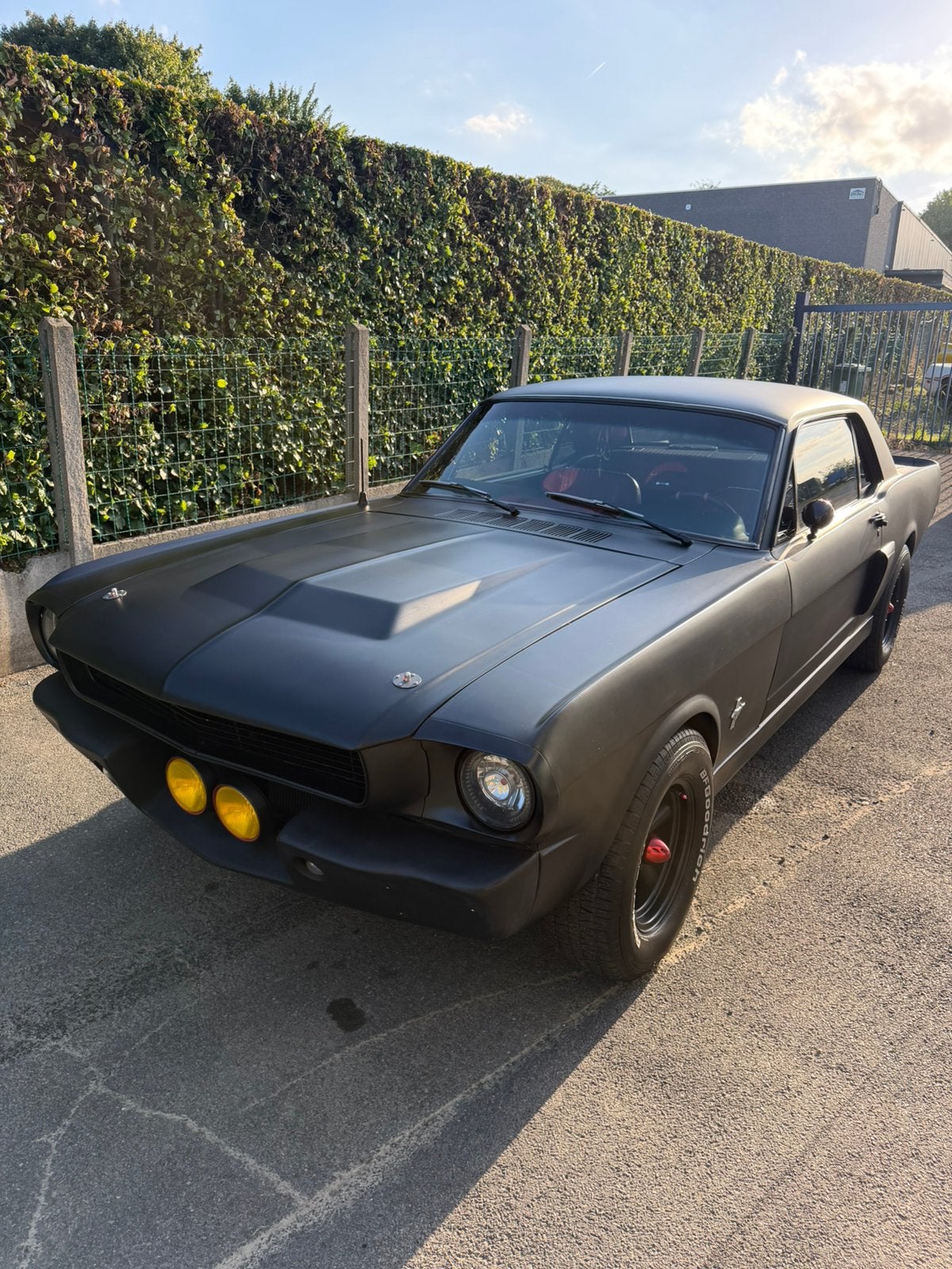 Ford mustang 1966 v8, Autos, Achat, Entreprise, Noir, Automatique