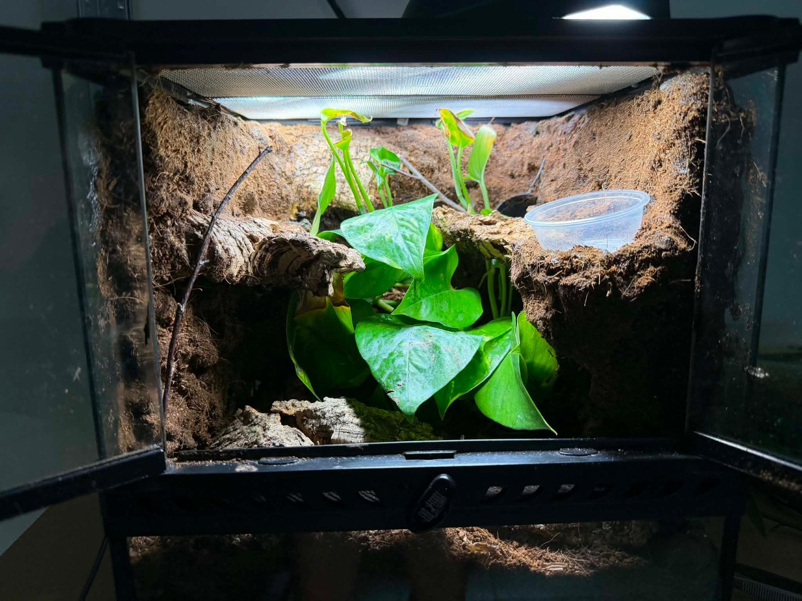 Bioactief terrarium exo-terra, Ophalen, Zo goed als nieuw