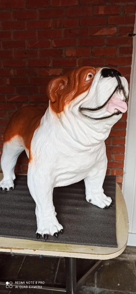 Engelse bulldog, Ophalen, Nieuw, Kunststof, Dierenbeeld