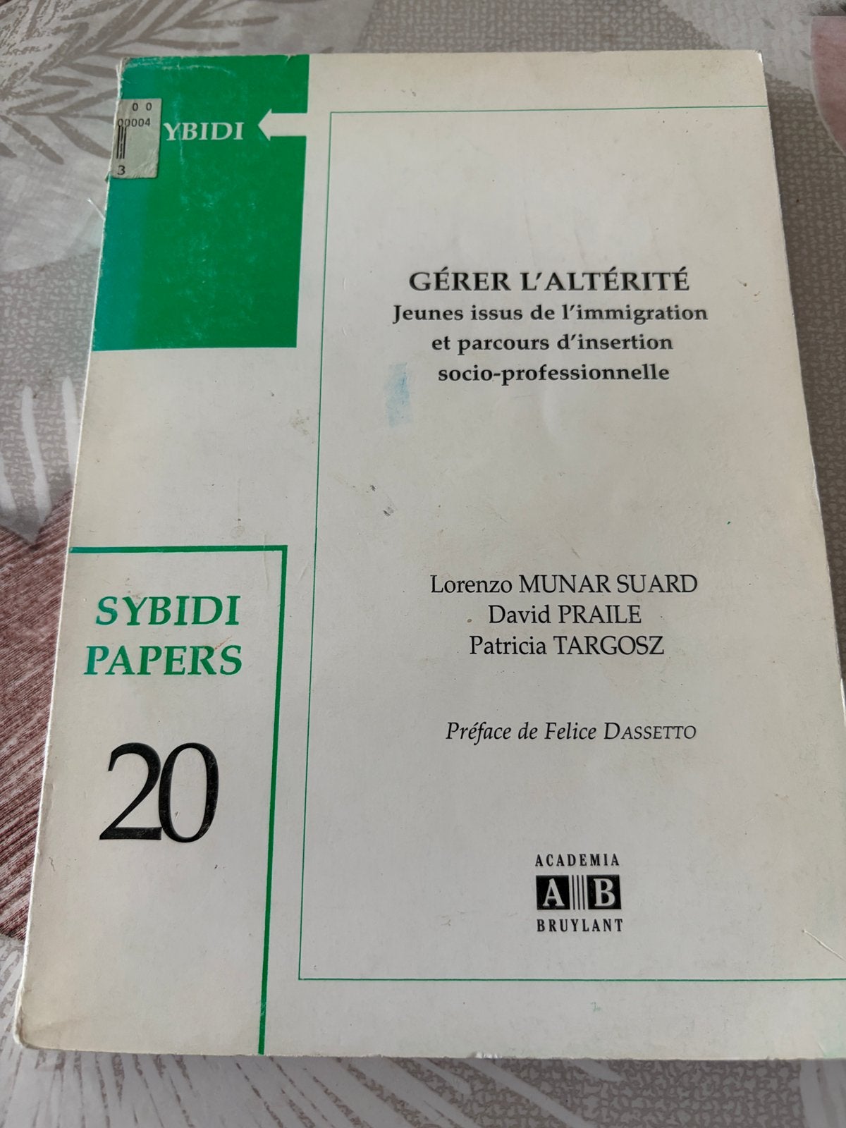 Boek Managing Otherness - Sybidi Papers 20 Academia Bruylant, Boeken, Ophalen of Verzenden, Zo goed als nieuw