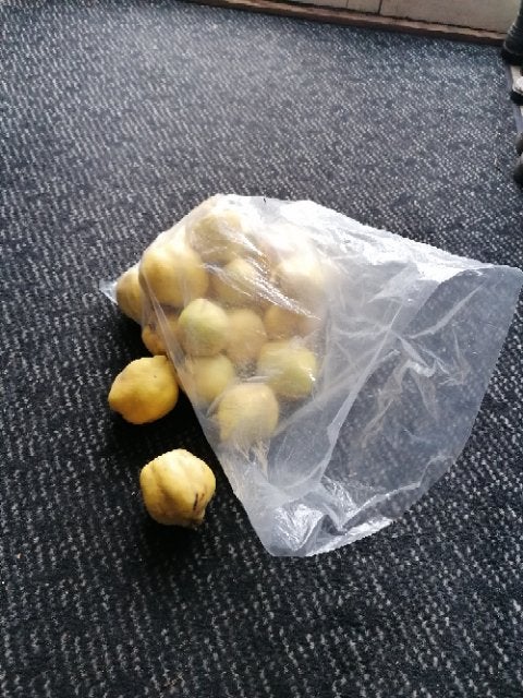 kweeperen te koop 5KG=5,€  totaal 95,KG, Ophalen