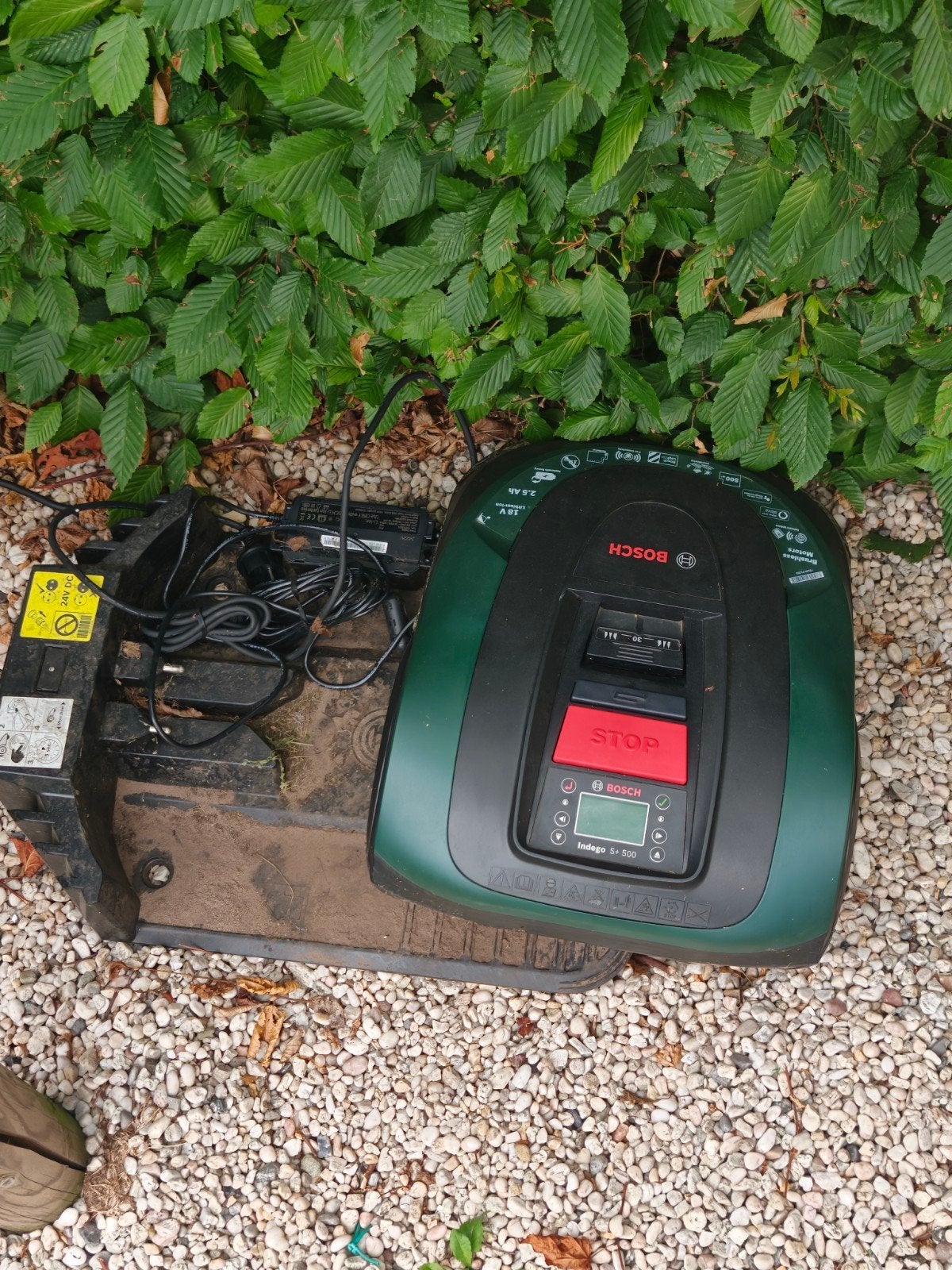 Bosch Indego S500+, Jardin & Terrasse, Enlèvement, Utilisé, Bosch Indego, Contrôlable via l'application