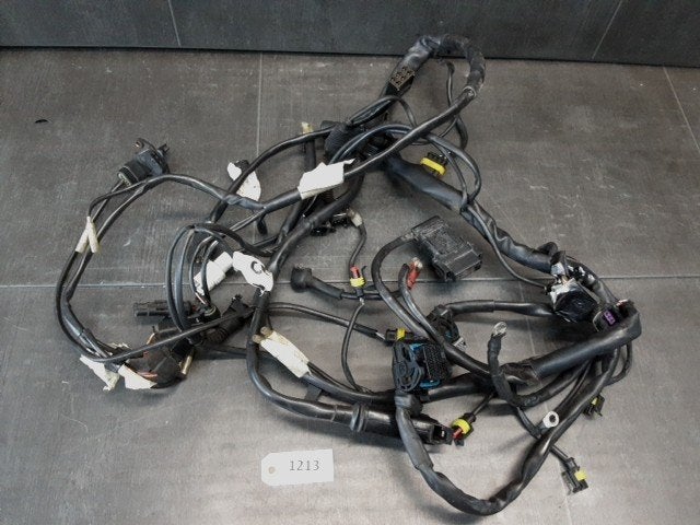 ST4S 1998 - 2006 Ducati Kabelboom Kabelboom hoofd D1-61524