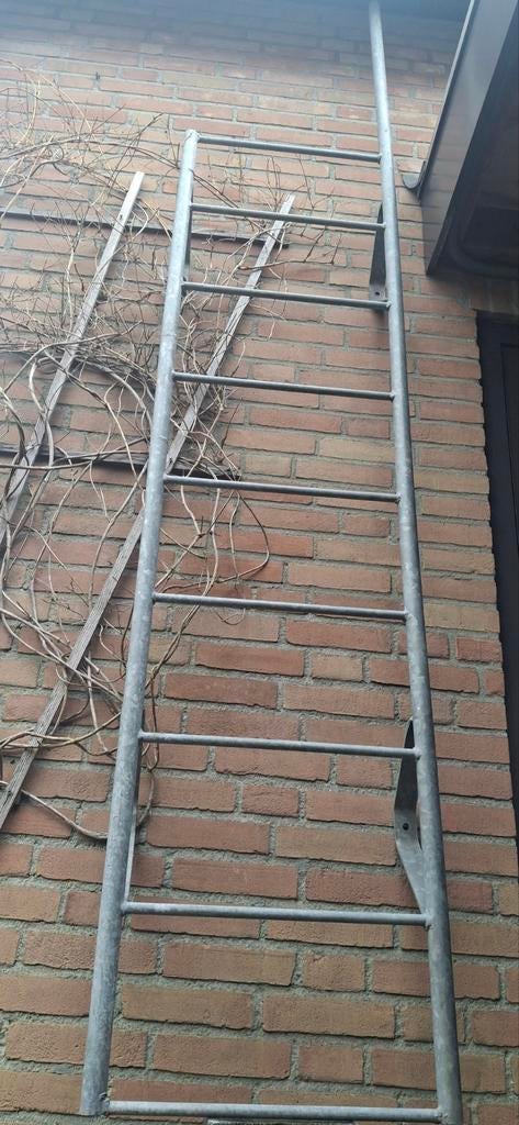 GegalvLadder:platdak,zoldr,vlucht 0,5m×2,75m inclGrijpstang, Ophalen, Nieuw