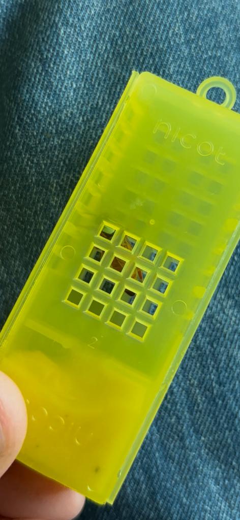 koningin F1 buckfast onbevrucht (gemerkt), Abeilles