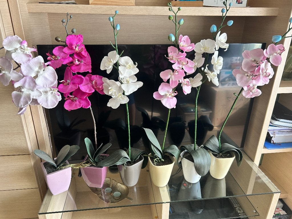 Orchideeën in kunststof, Huis en Inrichting, Woonaccessoires | Droogbloemen, Ophalen, Gebruikt