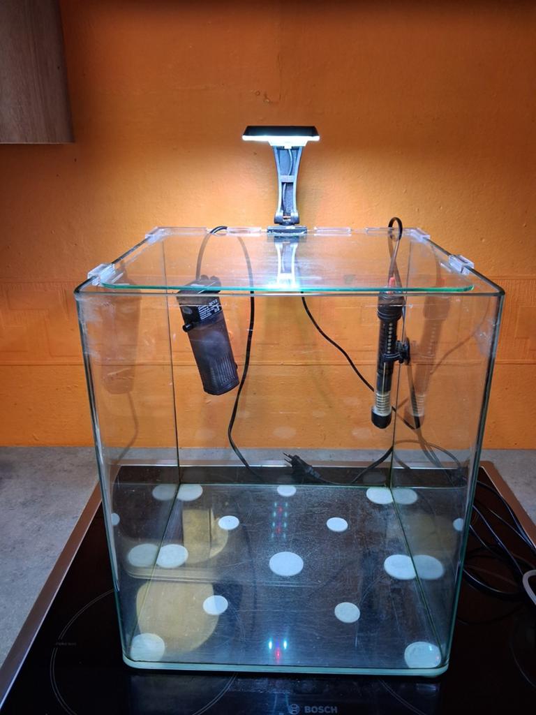 Aquarium 30/30/35 +pompe+thermostat+lampe led, Enlèvement, Chauffage, Utilisé, Aquarium vide