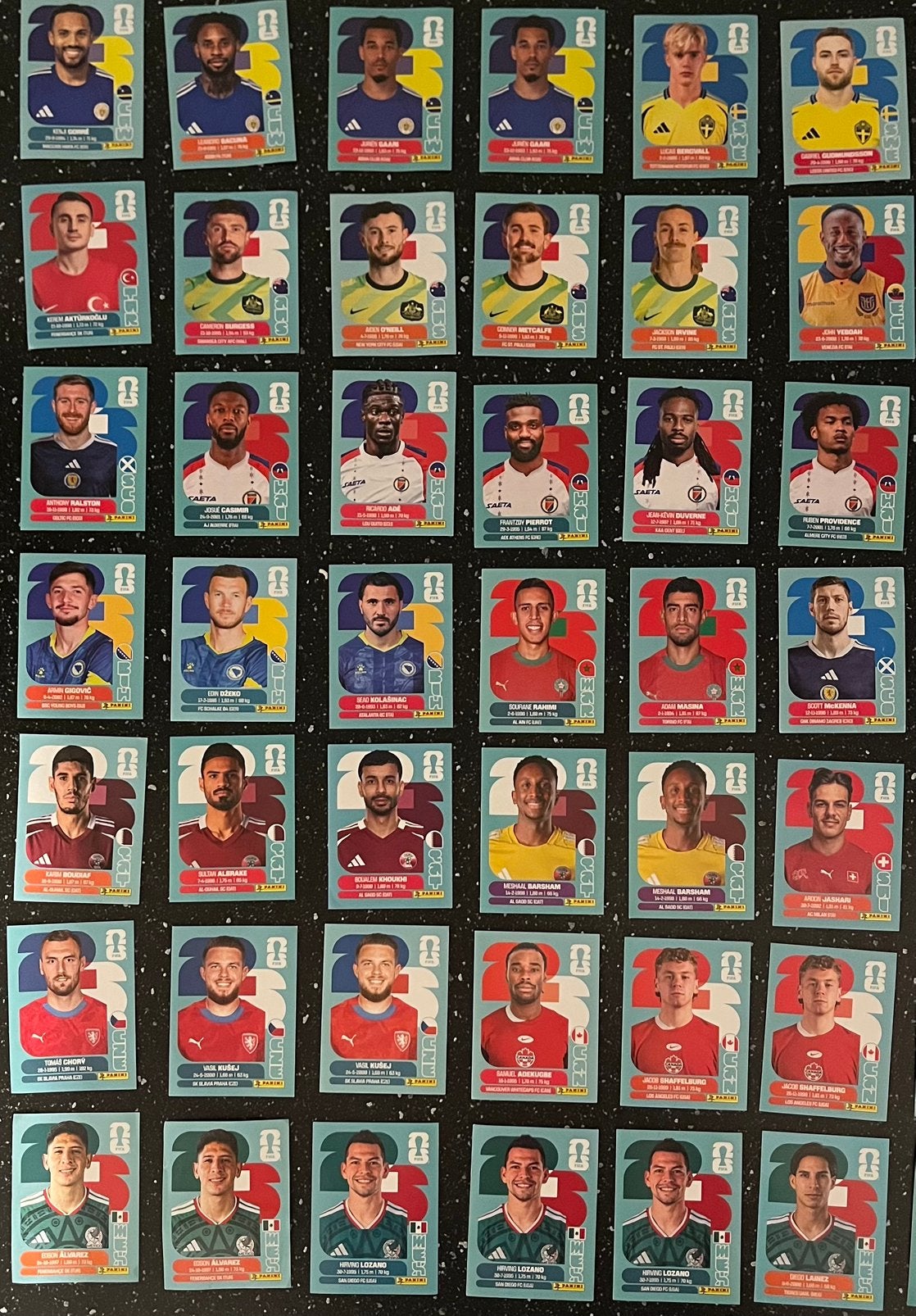 Panini-stickers voor het WK, Ophalen, Zo goed als nieuw, Overige typen