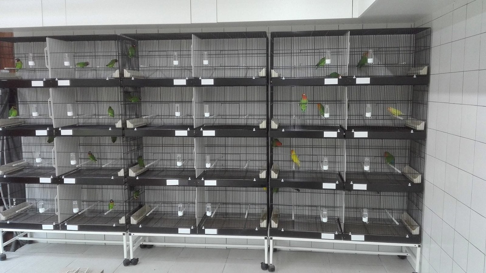 Draadkooien, Dieren en Toebehoren, Ophalen, Gebruikt, Aluminium, Broedkooi of Kweekkooi