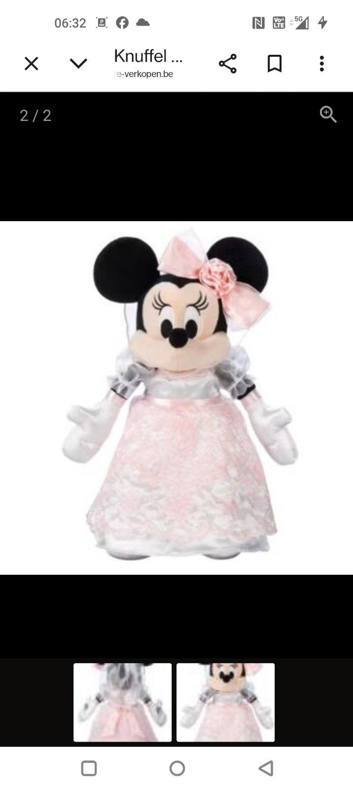 Nieuw Disney bruid en vruidegom, Enlèvement