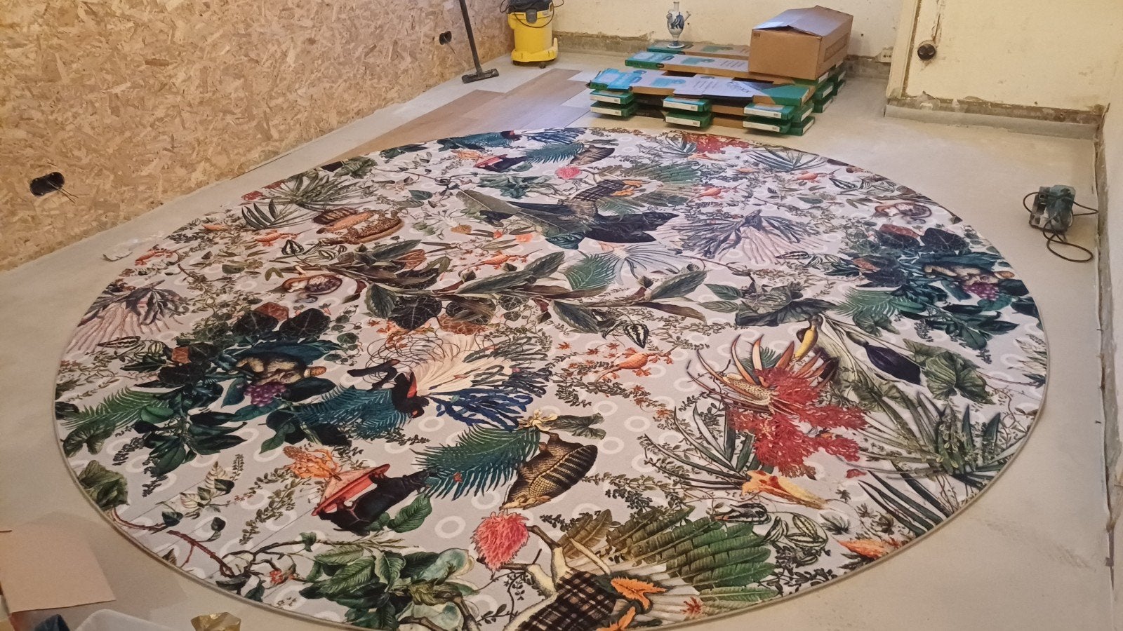 Moooi kleed 350 cm nieuw, Enlèvement