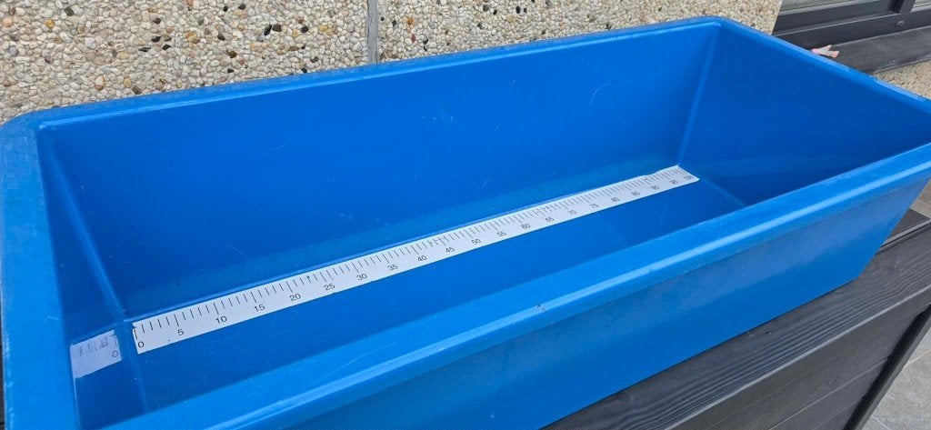 Polyester Meetbak 100 cm / Koi, Karper of Koi