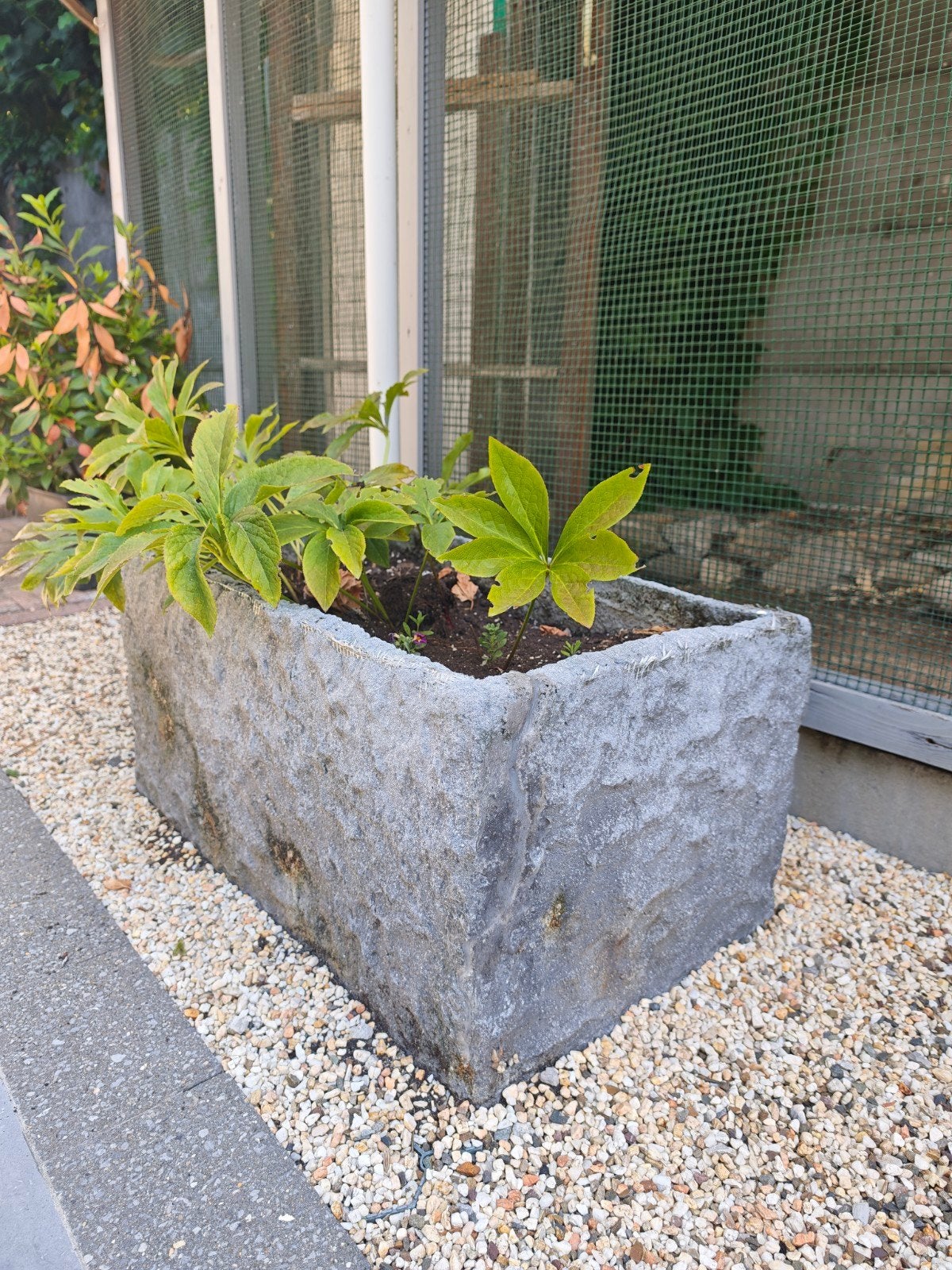 3 grote stenen plantenbakken, Ophalen