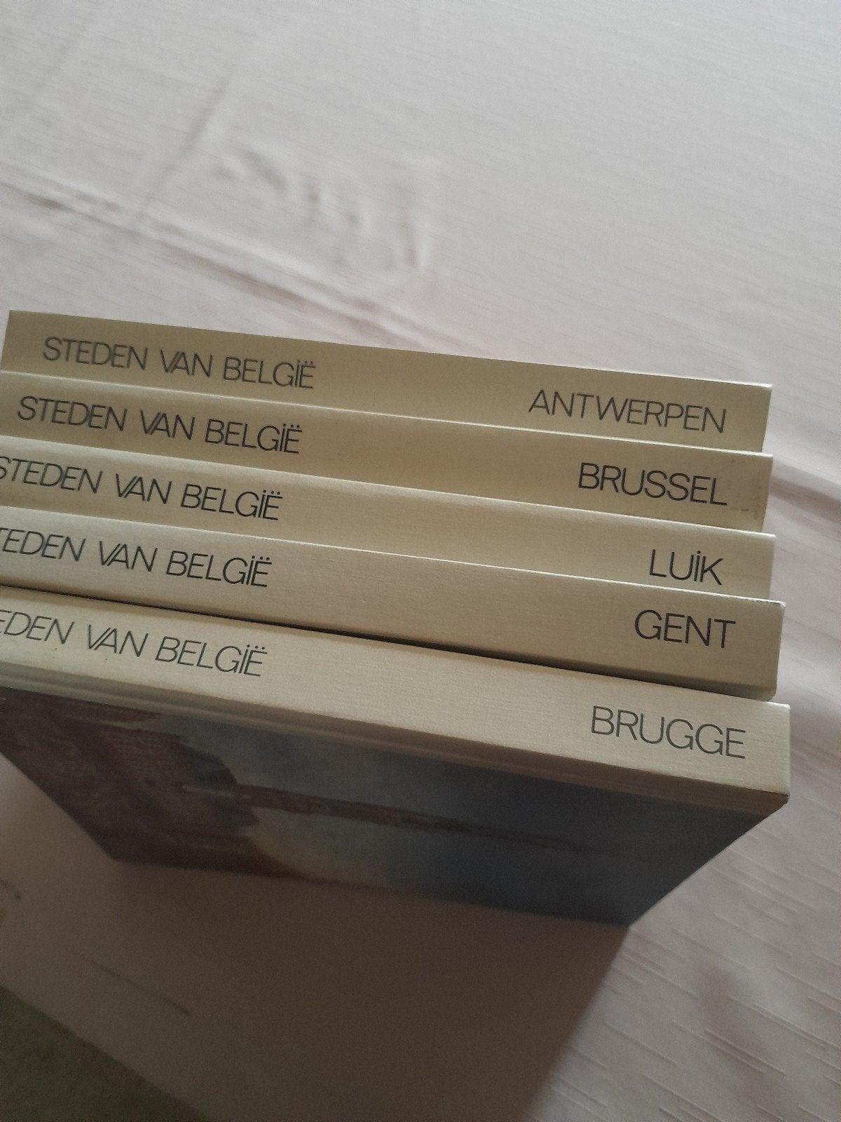 Boeken steden van België, Livres, Livres d'images & Albums d'images, Enlèvement