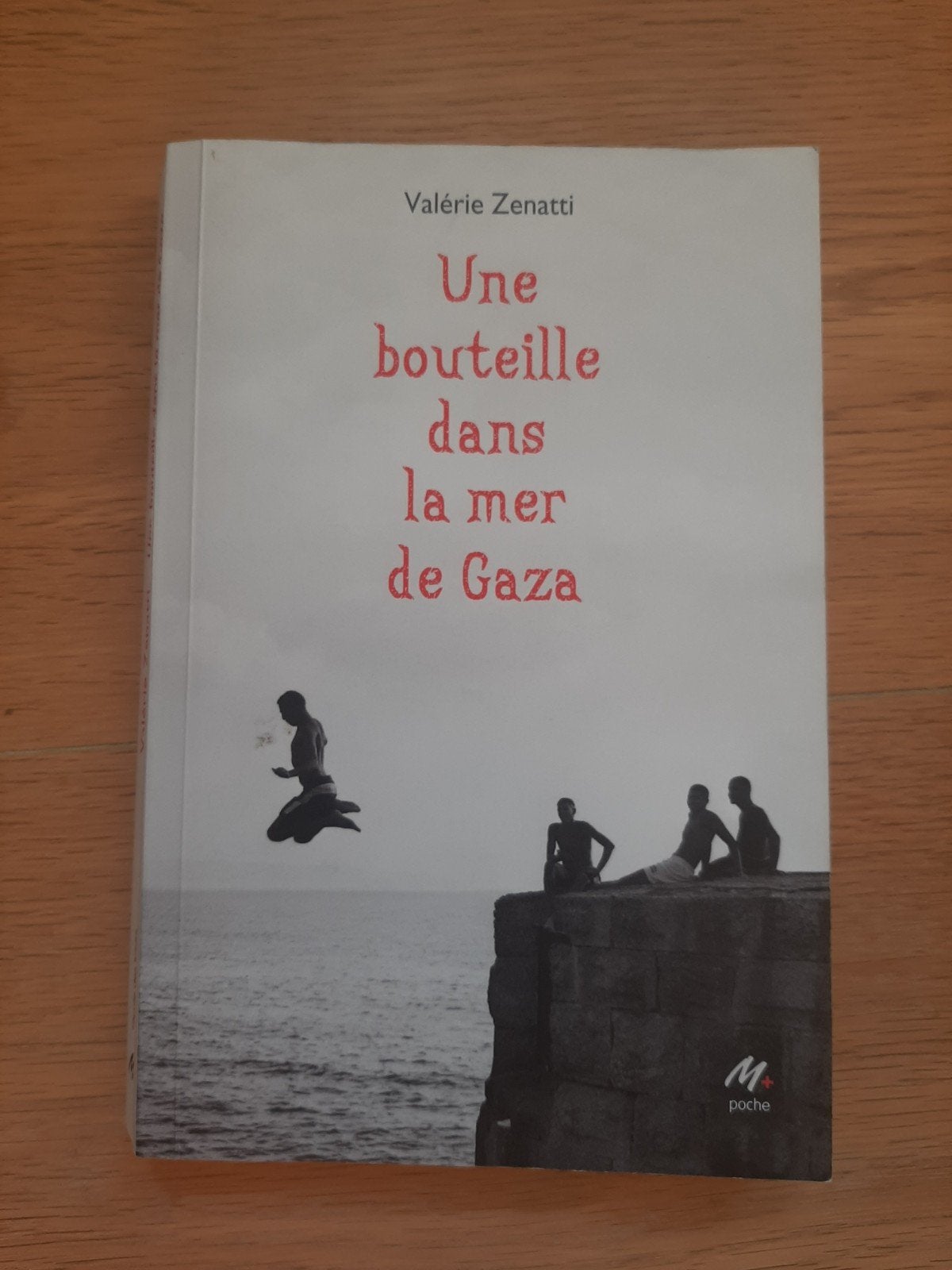 Une bouteille dans la Mer de Gaza, Boeken, Ophalen, Zo goed als nieuw