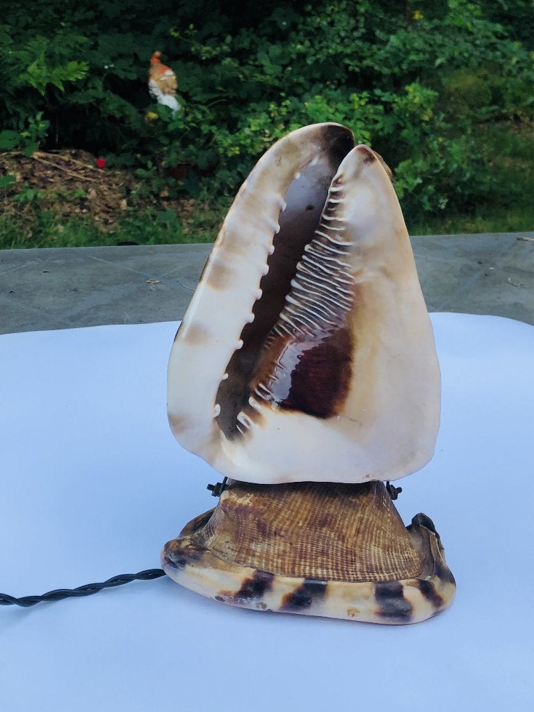 Vintage - Lamp - Schelp - Jaren '50, Antiek en Kunst, Ophalen